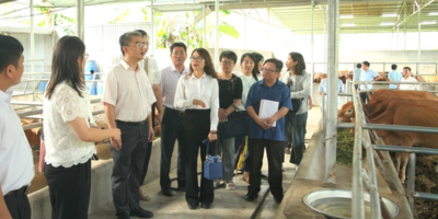 Công ty đo đạc Bình Dương, Công ty đo đạc trắc địa Việt Nam, Dịch vụ khảo sát địa hình, Định vị GPS RTK Bình Dương, Đo đạc bản đồ chuyên nghiệp, Đo đạc Duy Bình, Duy Binh Geomatics